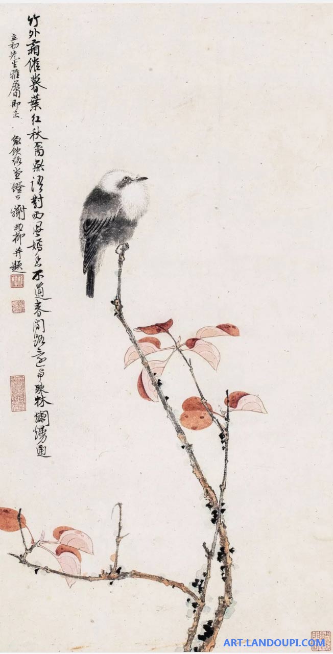 霜叶栖禽 笔底秋声 —— 读谢稚柳《红叶小鸟图》