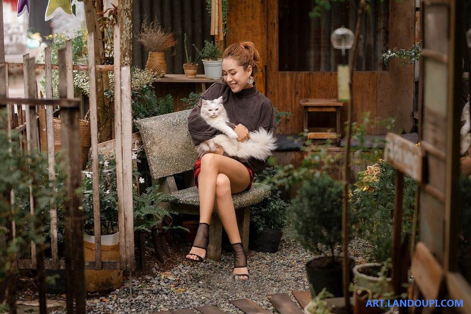摄影-小院猫闲：旧木小屋藏着一方温柔小院 碎石铺就的地面散落草木