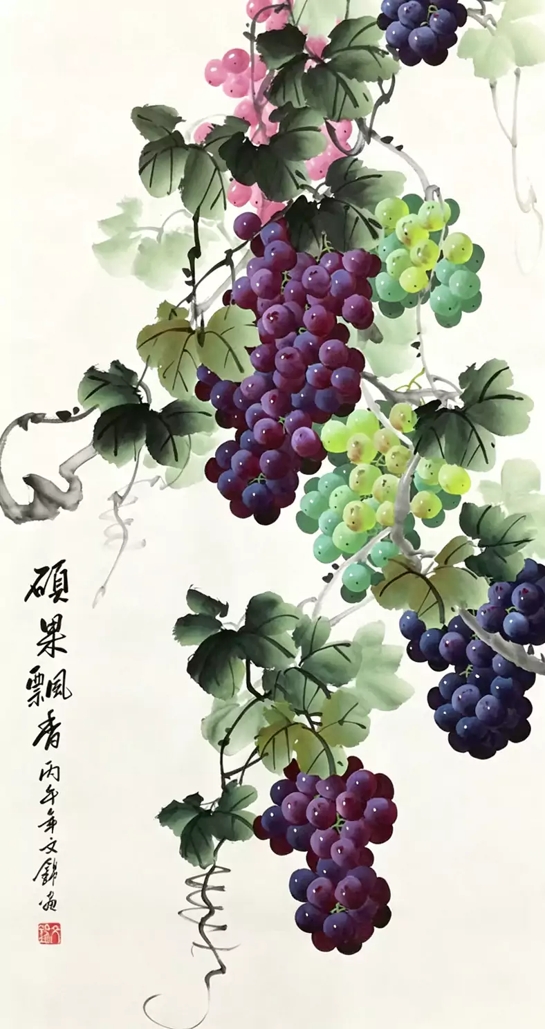 观张文锦《硕果飘香》葡萄图：一纸素宣 藤蔓盘曲婉转