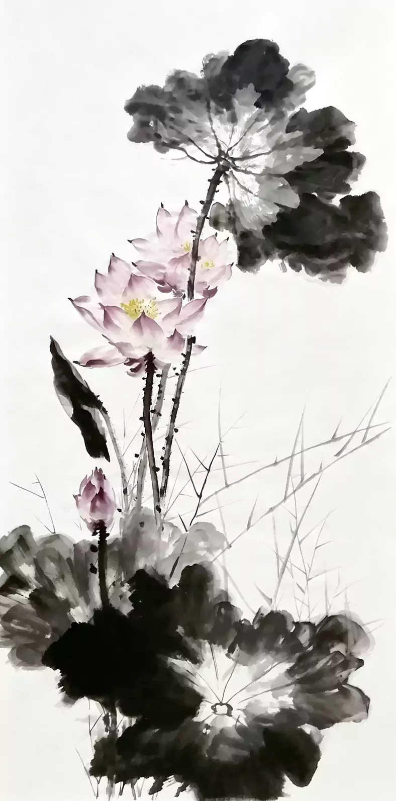 墨荷清韵 —— 赏刘旻佳水墨荷花